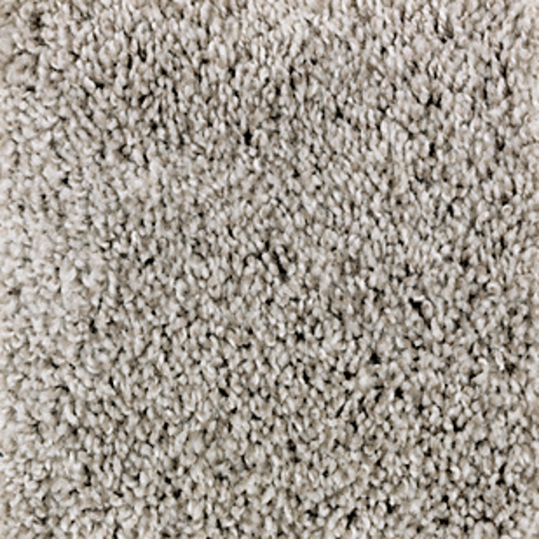 Mohawk Carpet Perfect Attraction True Taupe Mohawk