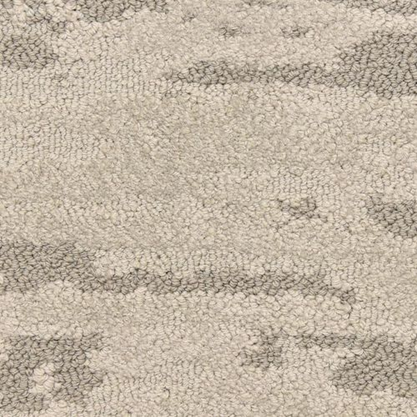 Masland Carpets Cosmo Visualize Masland