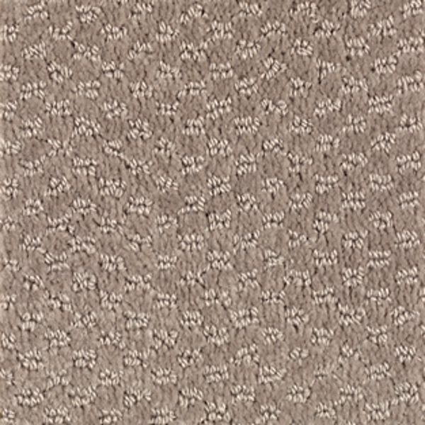 Mohawk Carpet Dynamo Taupe Treasure Mohawk