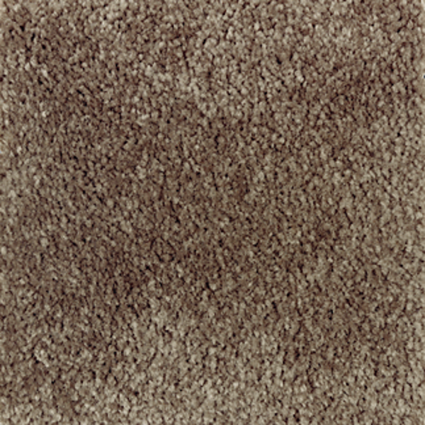 Mohawk Carpet Homefront I Rustic Beam Mohawk