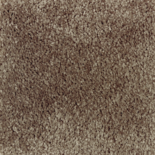 Mohawk Carpet Homefront III Rustic Beam Mohawk