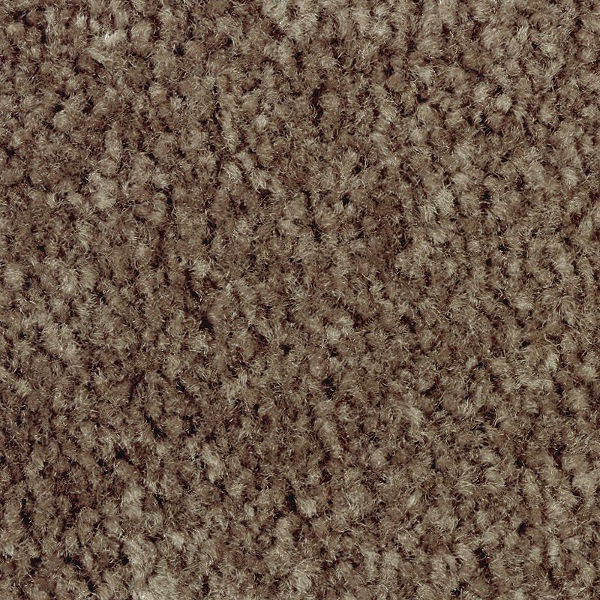 Mohawk Carpet Classical Design III 12' Rustic Beam Mohawk