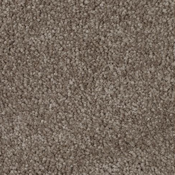 Mohawk Carpet Classical Design II 12' Rustic Beam Mohawk
