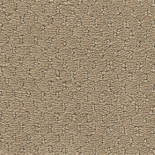 Aladdin Commercial Classic Update Authentic Tan Mohawk