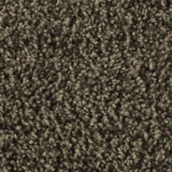 Mohawk Carpet Artistic Allure Dakota Dawn Mohawk