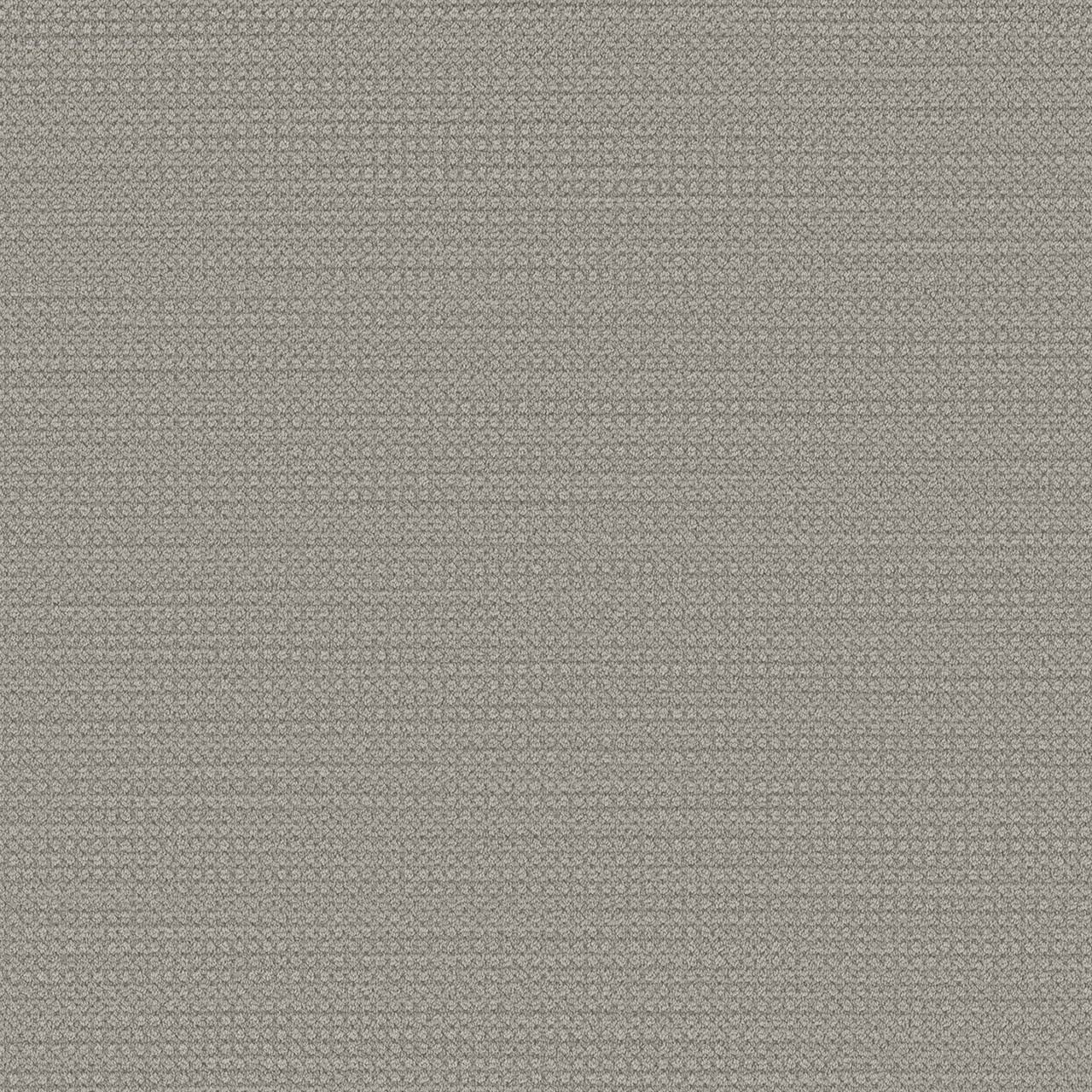 DW Select Carpet Montreal Mount Pearl DREAMWEAVER