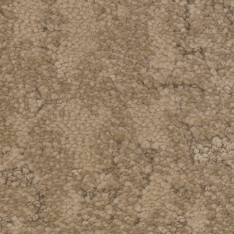 Tarkett Home Carpets Fresco Eternal LEXMARK