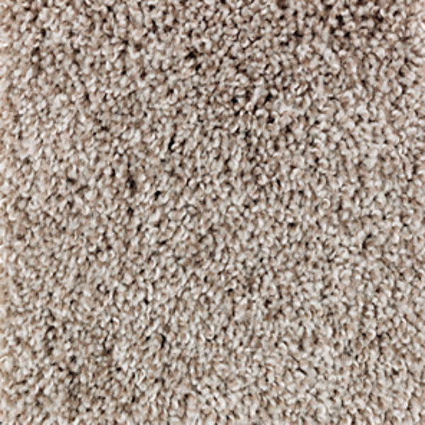 Mohawk Carpet Perfect Attraction Loom Weave Mohawk