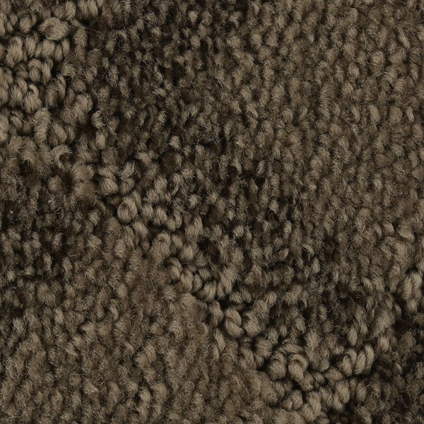 Horizon Carpet Graceful Appeal Sequoia Mohawk