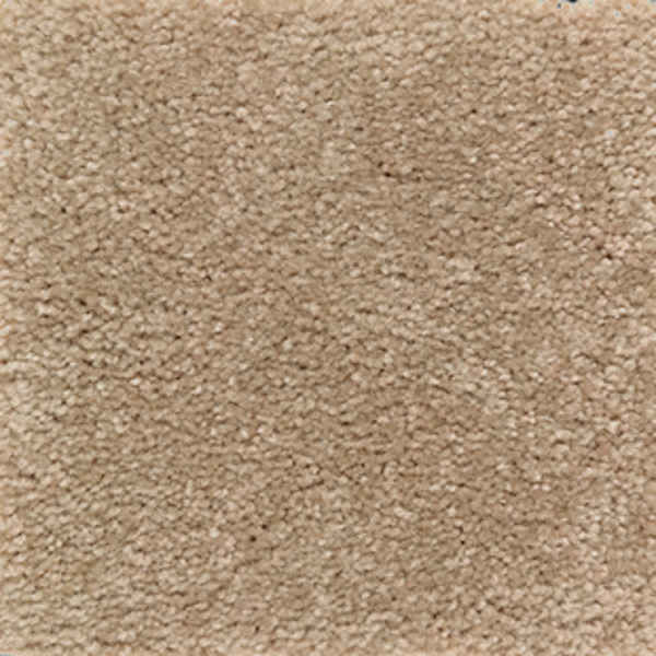 Mohawk Carpet Homefront II Spiced Tea Mohawk