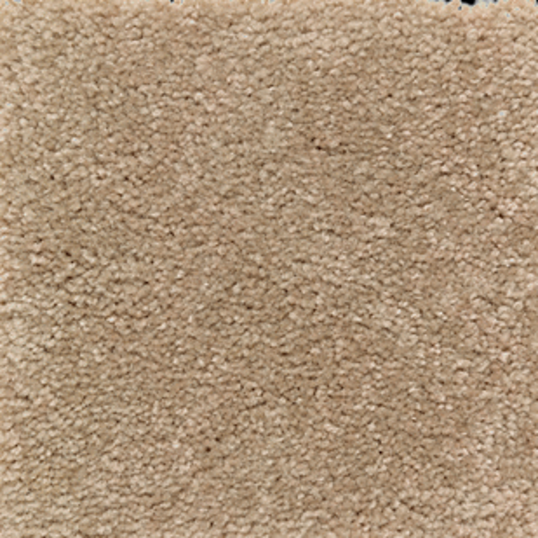 Mohawk Carpet Homefront III Spiced Tea Mohawk