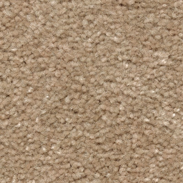 Mohawk Carpet Classical Design I 12' Spiced Tea Mohawk