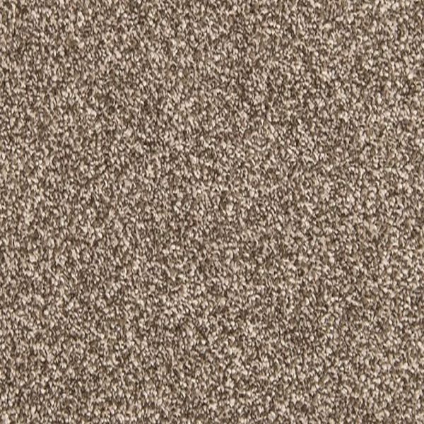 Mohawk Carpet Dynamic Quality I Filigree Mohawk