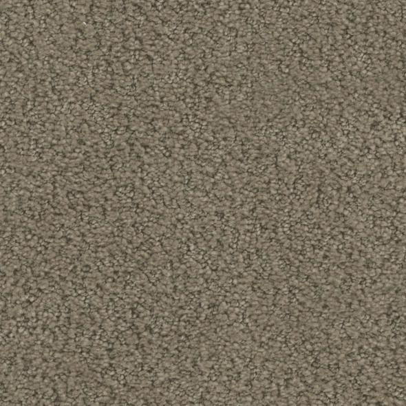 Phenix Carpets Crave Command PHENIX