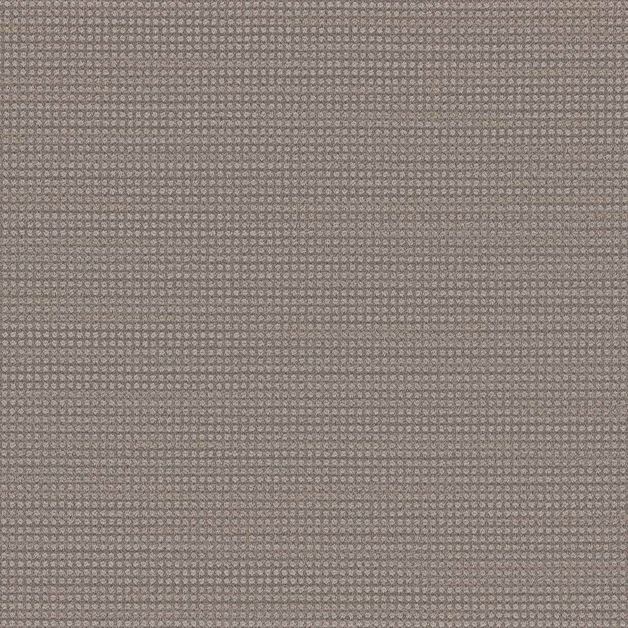 DW Select Carpet Montreal Willowdale DREAMWEAVER