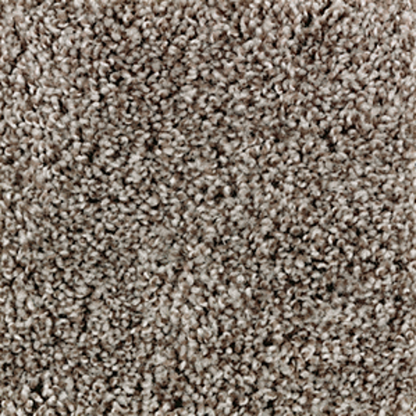 Mohawk Carpet Perfect Attraction Dark Fudge Mohawk