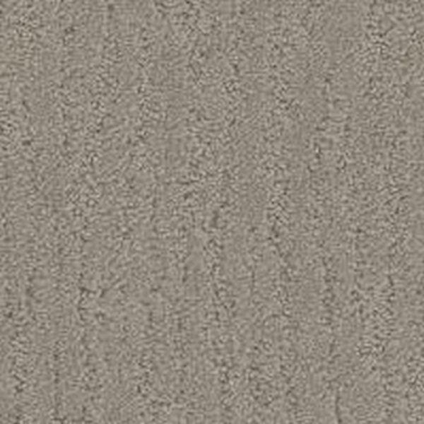 Phenix Carpets Verona Amphitheater PHENIX