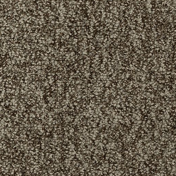 Mohawk Carpet Enduring Amazement Garden bramble Mohawk