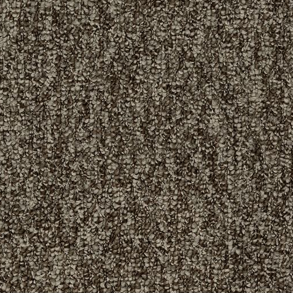 Mohawk Carpet Pristine Sensation Garden Bramble Mohawk