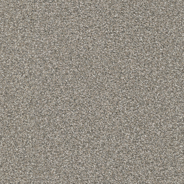 Masland Carpets Hunter Scooby Masland