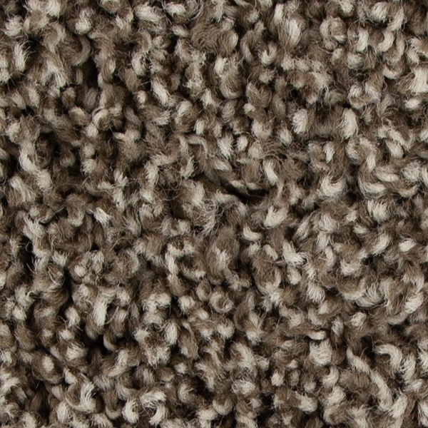Mohawk Carpet Color Fusion II Taupe Whisper Mohawk