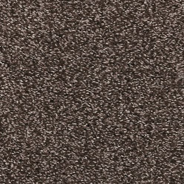 Mohawk Carpet La Jolla Cove I Ship Wreck Mohawk