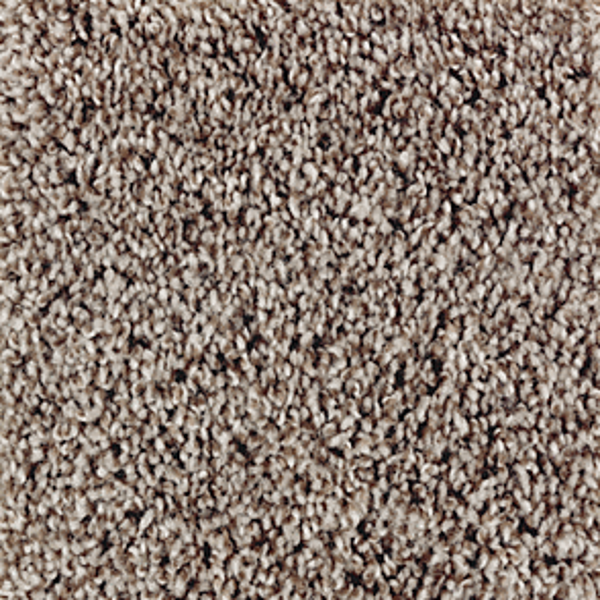 Mohawk Carpet Perfect Attraction Crossroads Mohawk