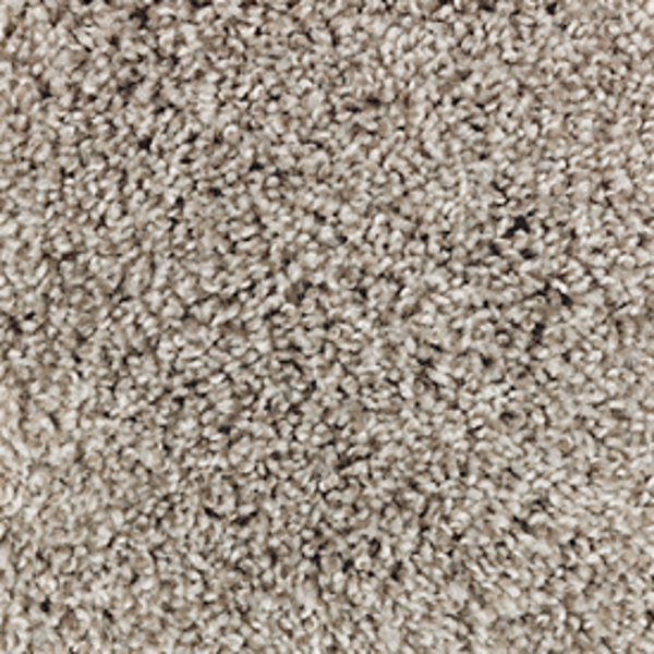 Mohawk Carpet Perfect Attraction Fiddlewood Mohawk