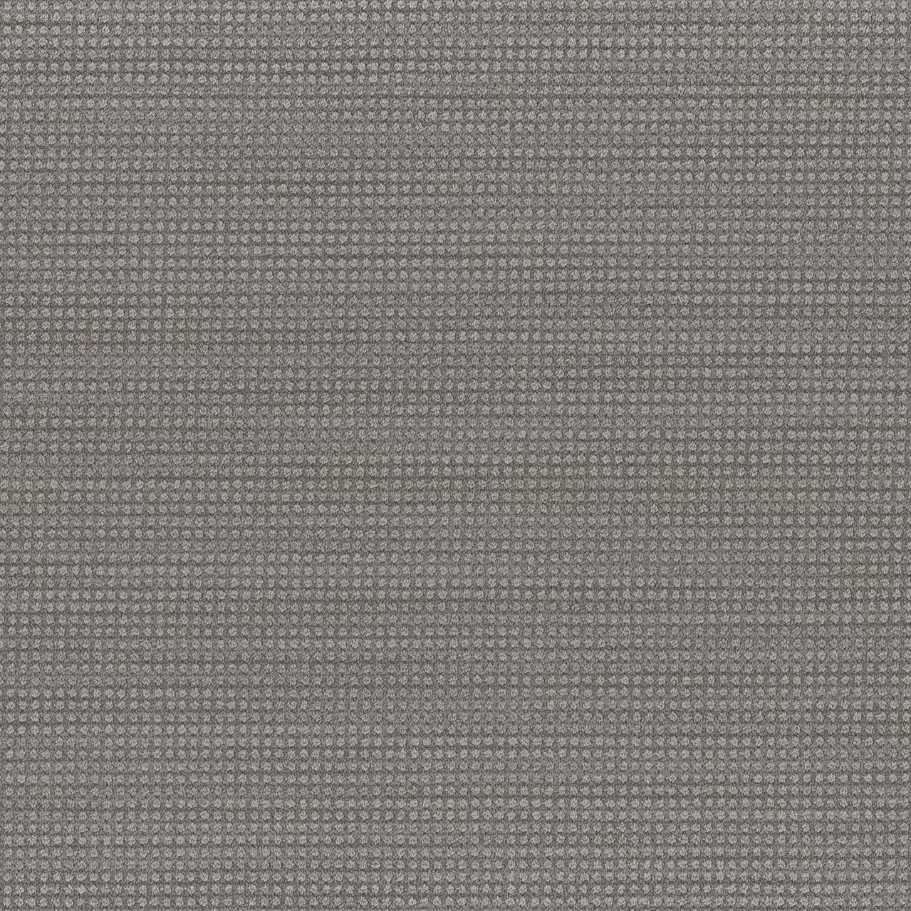 DW Select Carpet Montreal Glasgrow DREAMWEAVER