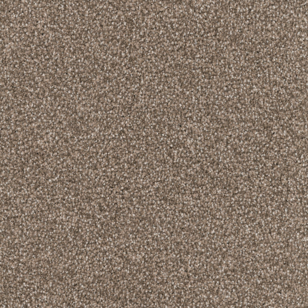 Dixie Home Great Dane Pinscher