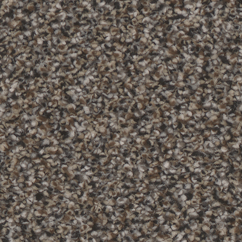 Tarkett Home Carpets Riviera Ritzy LEXMARK