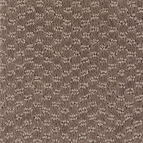 Mohawk Carpet Dynamo Wild Frontier Mohawk