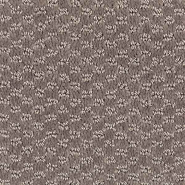 Mohawk Carpet Dynamo Roosevelt Mohawk