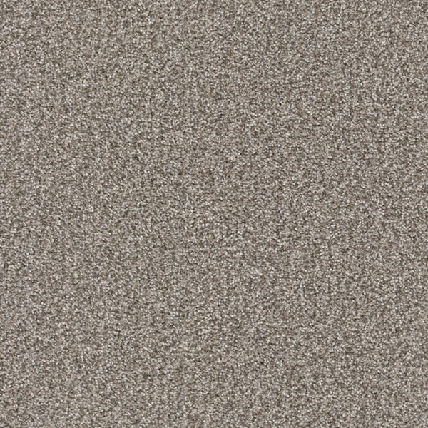 Masland Carpets Hunter Rover Masland