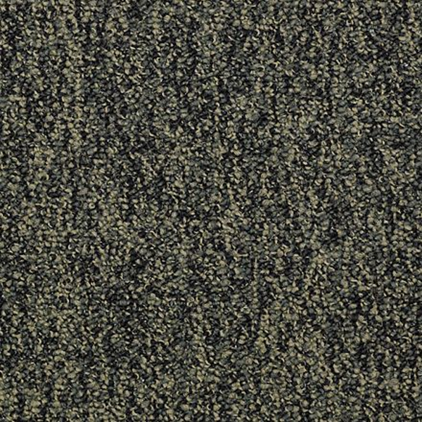 Shaw Floors All The Rage 22 Hold The Line SHAW