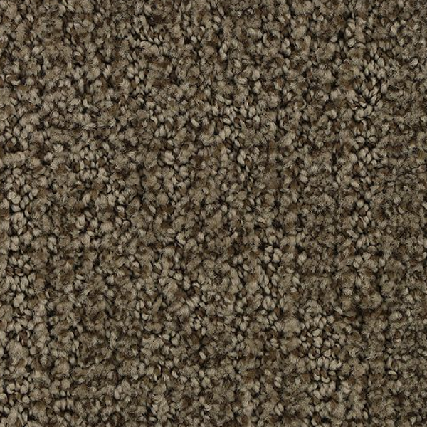 Horizon Carpet Stylish Trend Malted Mohawk
