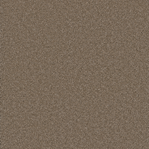 Dreamweaver Carpet Cosmopolitan II Tumbleweed DREAMWEAVER