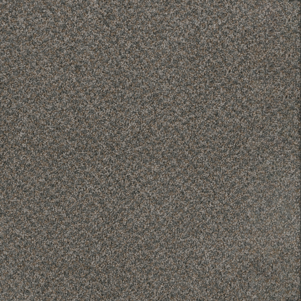 Dreamweaver Carpet Toast Of The Town Flagstone DREAMWEAVER