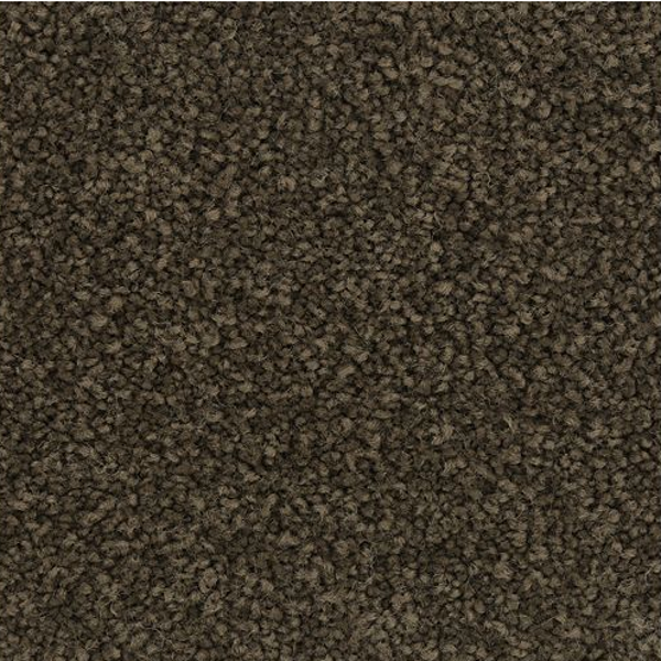 Horizon Carpet Coastal Fashion II Trasure Chest Mohawk