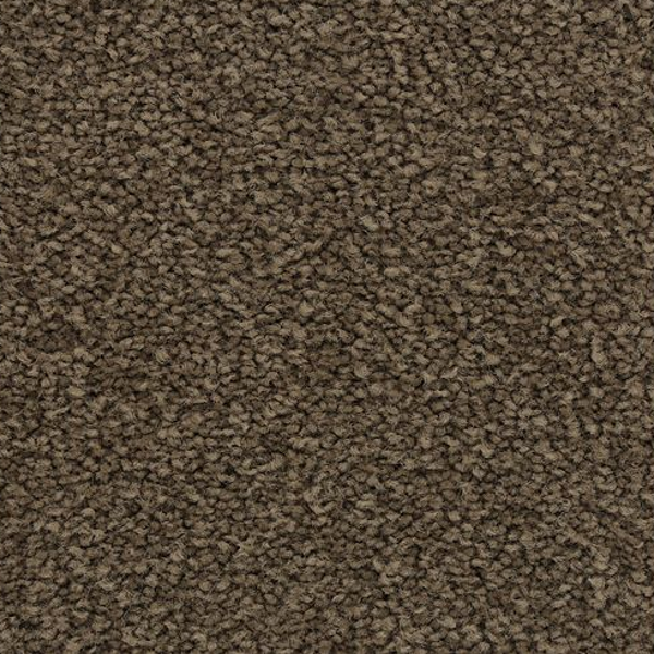 Horizon Carpet Coastal Fashion III Treasure Chest Mohawk