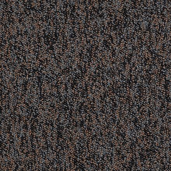 Shaw Floors All The Rage 22 Stay Active SHAW