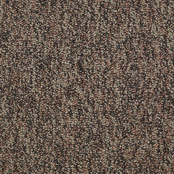 Shaw Floors All The Rage 22 Plan Ahead SHAW