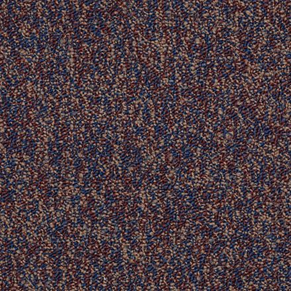 Shaw Floors All The Rage 22 Exercise SHAW