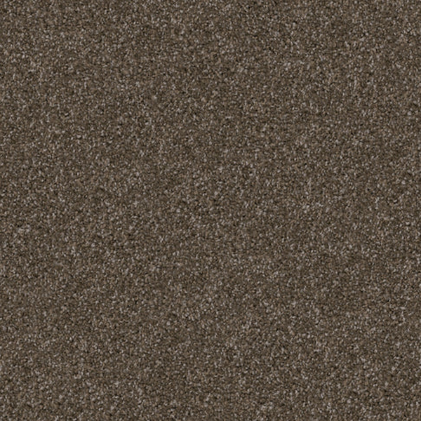 Dixie Home Pyrenees Dachshund