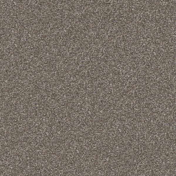 Masland Carpets Tracker Lady Masland