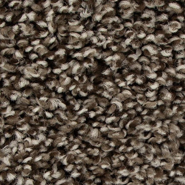 Mohawk Carpet Color Fusion II Highlander Mohawk