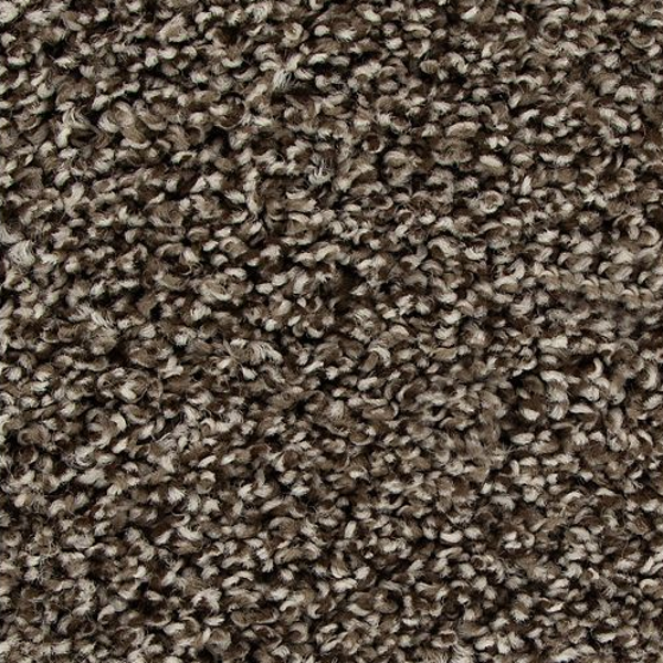 Mohawk Carpet Color Fusion I Highlander Mohawk