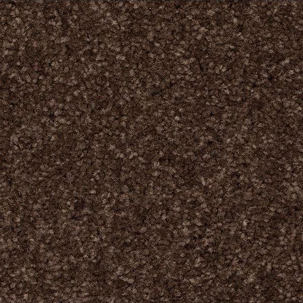 Horizon Carpet Quality Life Dark Fudge Mohawk
