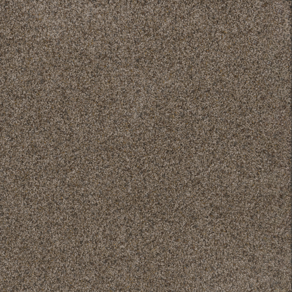 Dreamweaver Carpet Toast Of The Town Tanzanite DREAMWEAVER