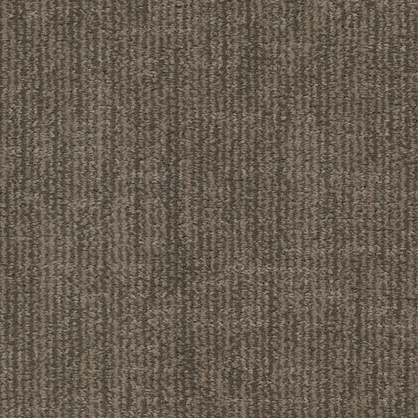 Dixie Home Bengal Colonel Meow